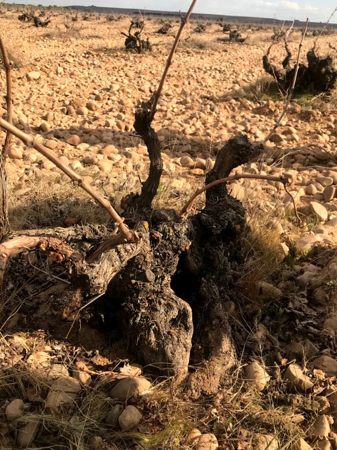 自由行去巴黎西班牙巴塞罗那行程,从巴塞罗那到巴塞罗那