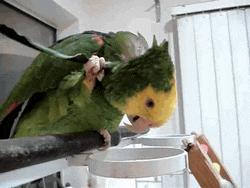 “老婆居然穿这种裤子出门，难怪大家都在看她，太丢脸了！”哈哈