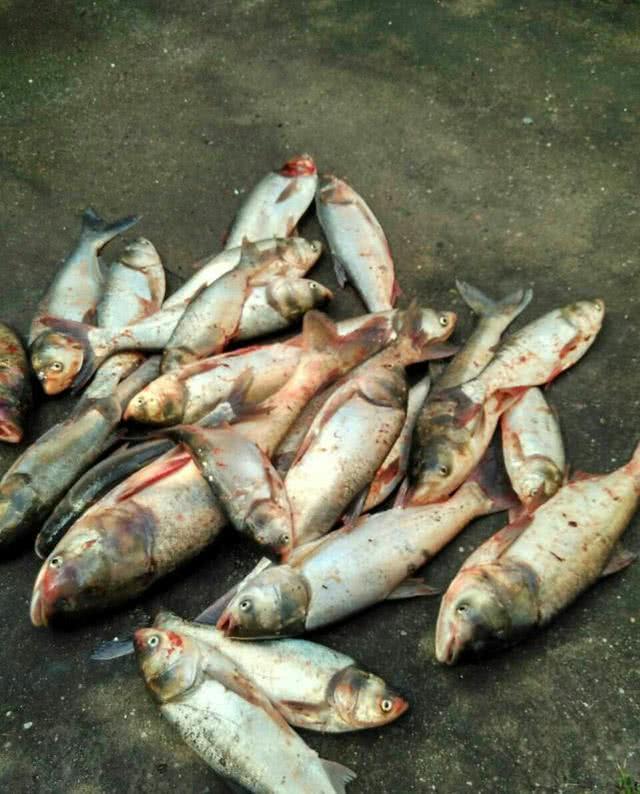 钓鱼人容易犯的3个错误,钓鱼人容易犯的三个错误