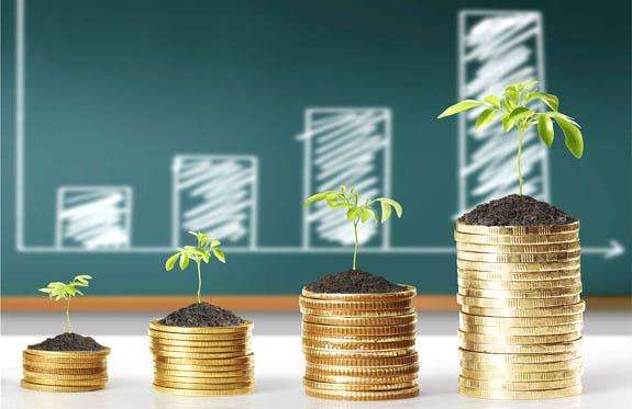 我在理财公司的一年半