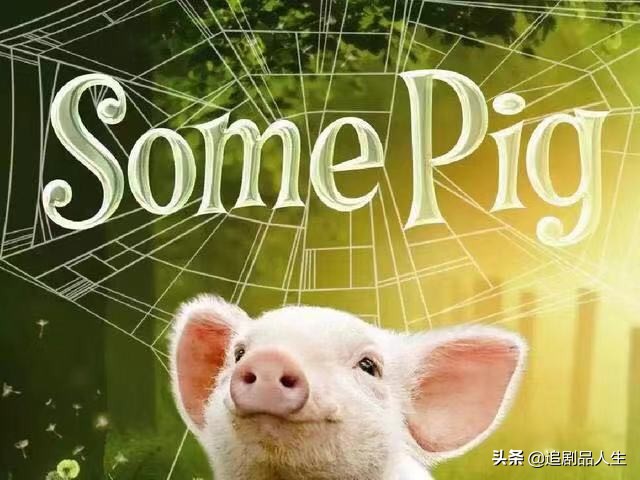蜘蛛夏洛特和小猪的故事,夏洛特的网小猪与蜘蛛的隔空友谊