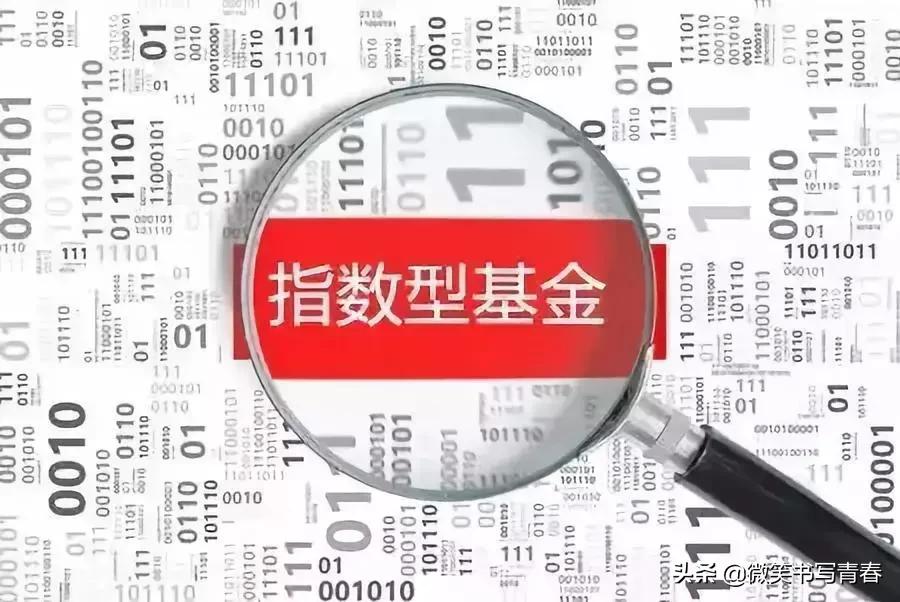 指数基金投资从新手到高手,哪些指数基金值得长期投资