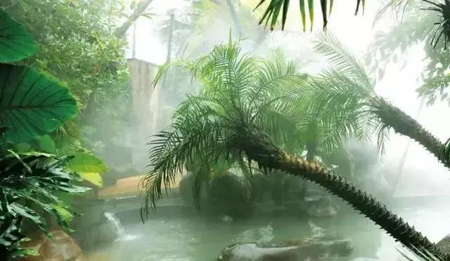 腾冲度假旅游攻略,腾冲春节旅游温泉