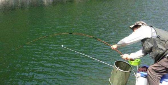 如何避免一上鱼就拔河,钓鱼如何避免拔河