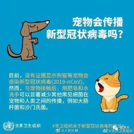 怀孕真的不能养猫养狗吗,怀孕不可以养老鼠吗