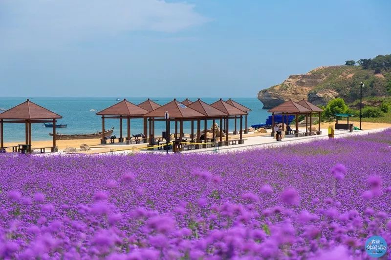 拍照圣地网红打卡大连,大连网红打卡地景点拍照