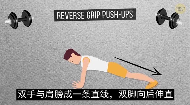 怎么练手臂的肱三头,怎么才能练出手臂的肱三头肌