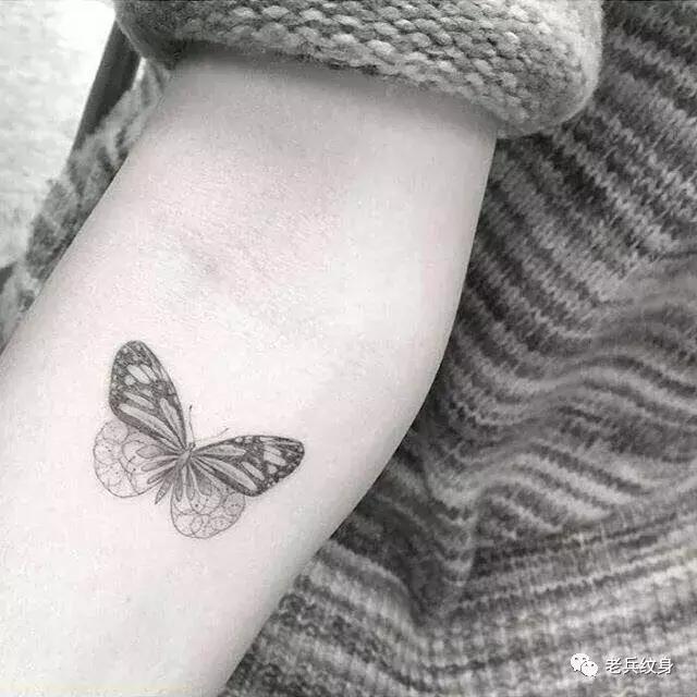 蝴蝶纹身图案,纹身素材蝴蝶后背