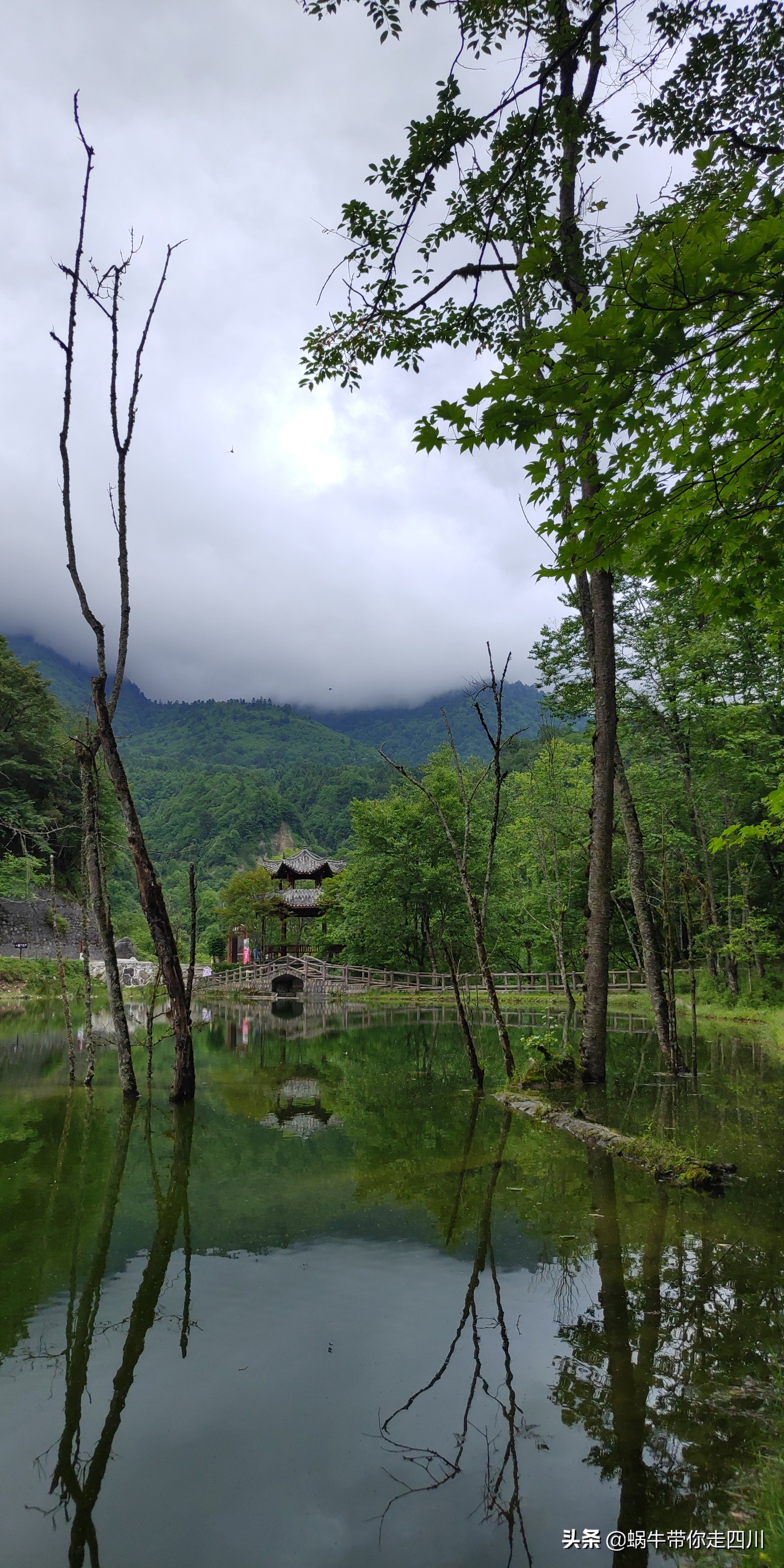 一家三口重庆到拉萨旅游攻略预算,一家三口成都去拉萨大概要多少钱