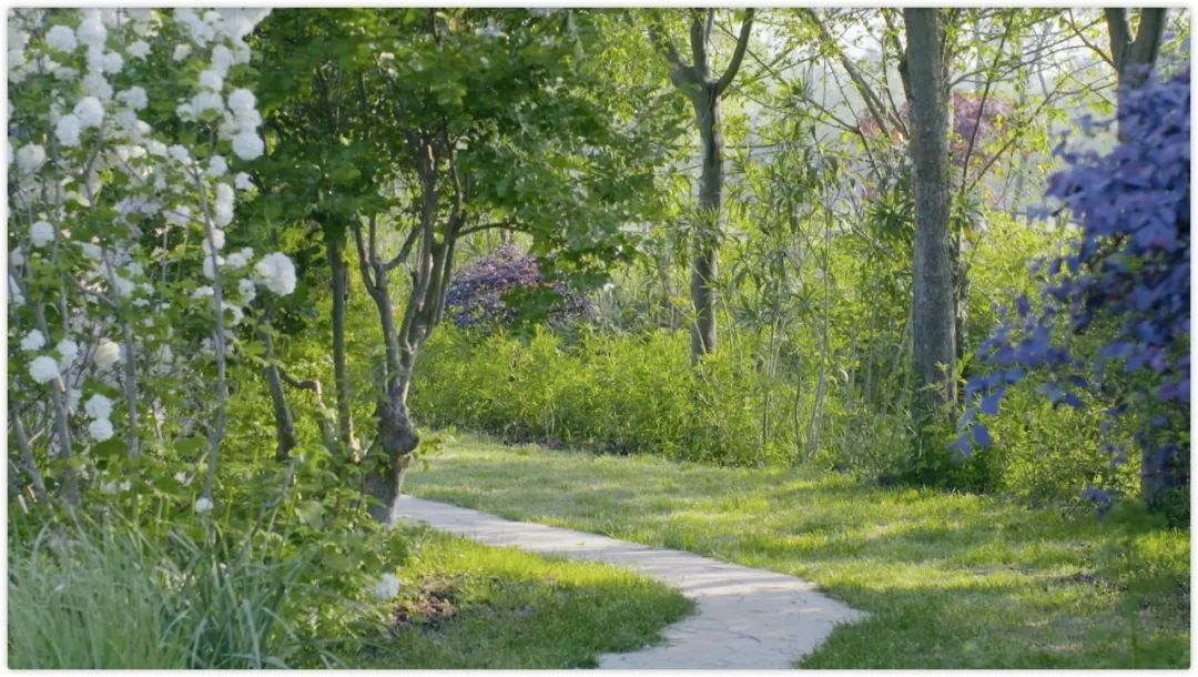 腾讯高管辞职隐居,腾讯元老隐居合肥