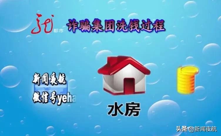 诈骗炒股平台案值超20万,男子利用平台漏洞敛财80万被捕