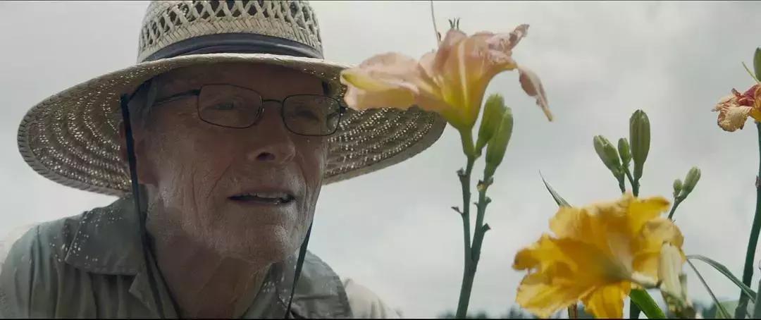 骡子电影口碑怎么样,品质超好的骡子