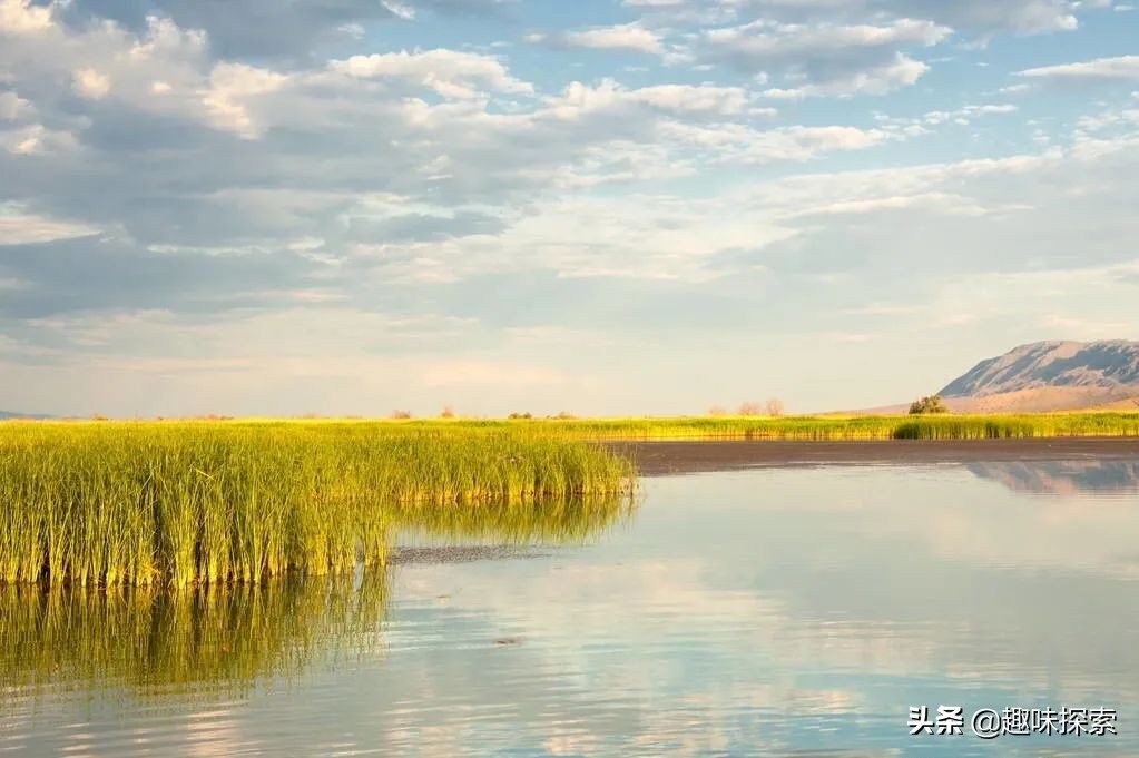 全球沙漠变绿洲会怎样,世界上的沙漠全变成绿洲会怎样