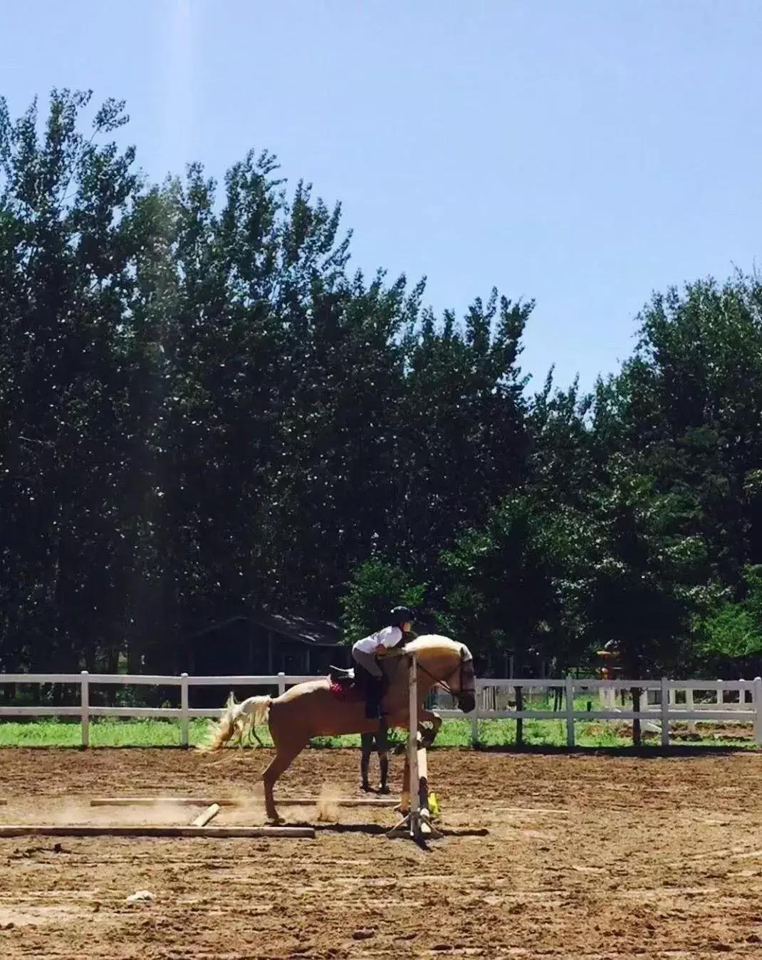 16岁混血少女为中国夺冠,15岁混血美籍女孩
