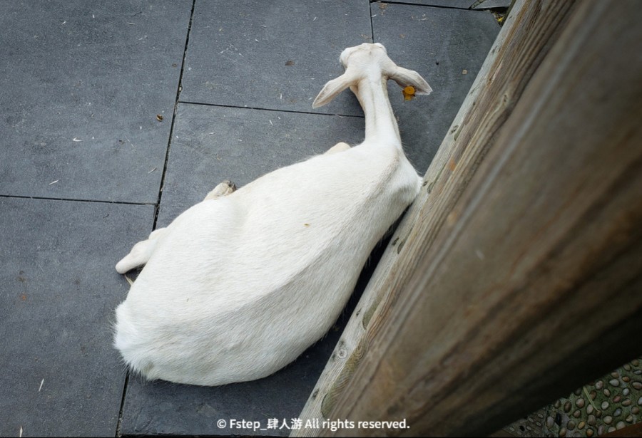 宅家云旅游遇见最美的自己 (宅家云旅游唯有爱与美食不可辜负)