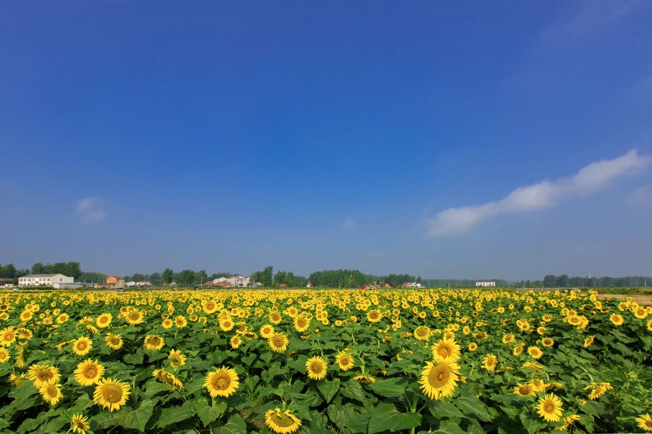 九月最美的旅行地方有哪些,十一推荐这10个秋天最美的旅行地