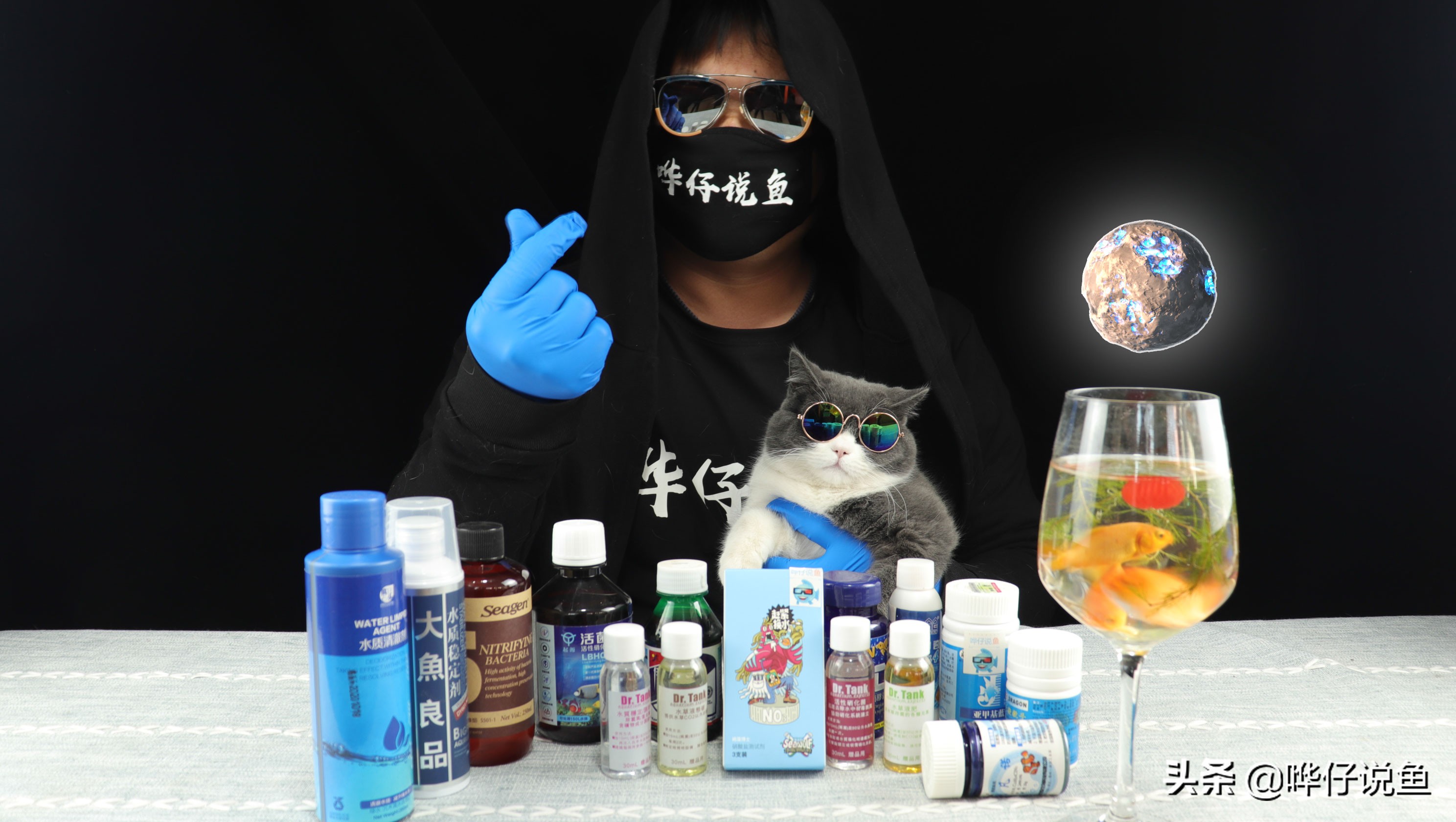 免换水鱼缸是真的不用换水吗,辟谣圆形鱼缸对鱼的危害