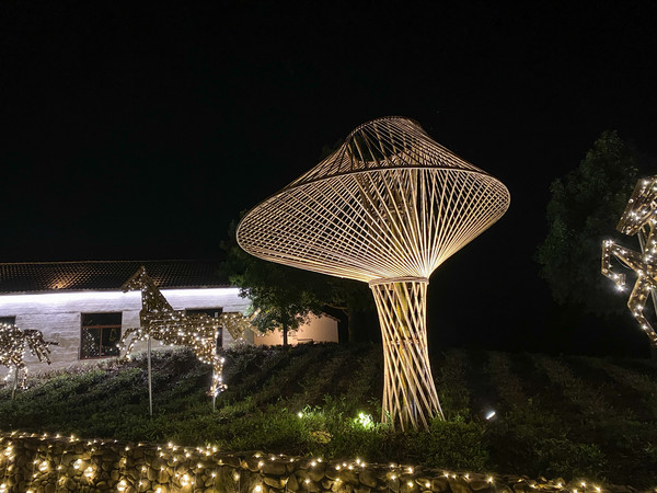 江浙沪自驾游亲子乐园推荐,江浙国内小众海岛亲子游