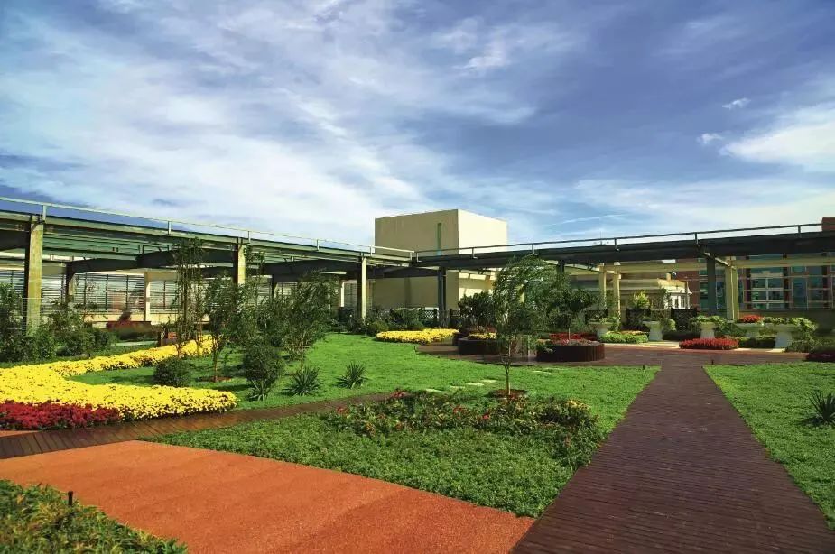 从楼顶看地面,从屋顶看故宫