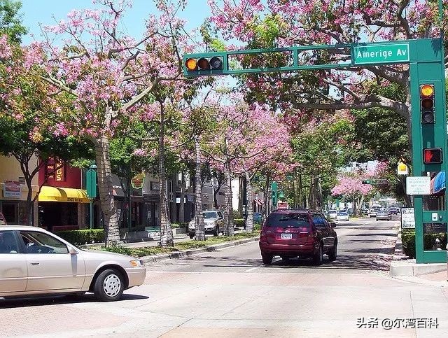 【美国生活】在洛杉矶找到你的梦想之家-富勒顿