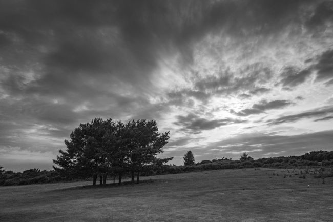 富士x-t100微单,富士x-t100摄影作品