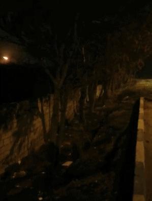 美国击落伊朗客机事件最新报道,美国击落伊朗客机事件赔偿了吗