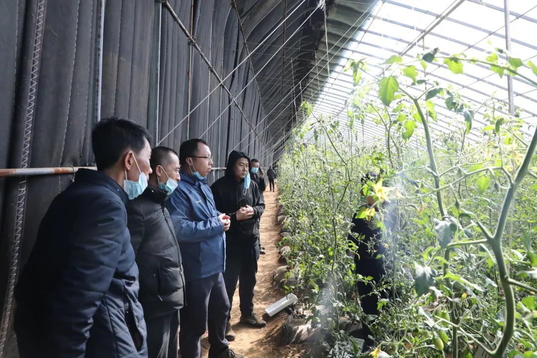 返乡入乡创业创新宣传周实施方案,返乡入乡创业创新政策宣传信息