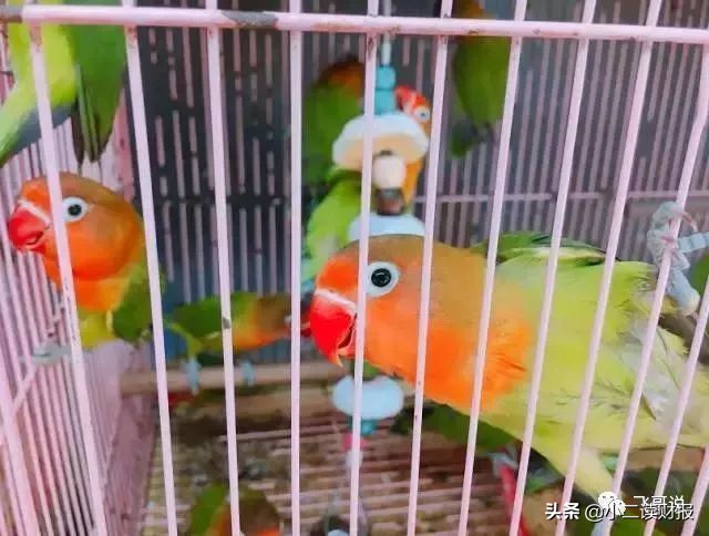 四川成都各大批发市场值得收藏