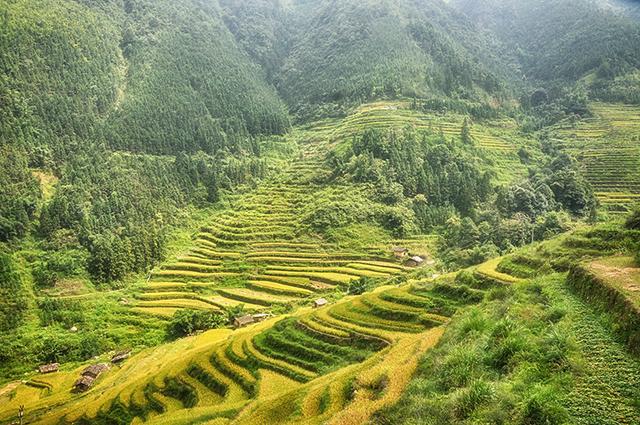 韶关丹霞梯田图片,韶关旅游梯田攻略图片
