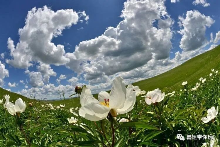 小长假天气晴好正是踏春好时节,小长假天气晴好出游踏青好时机
