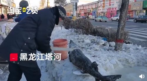 14岁少女被骗去ktv警方现场解救,14岁女孩在ktv被骗