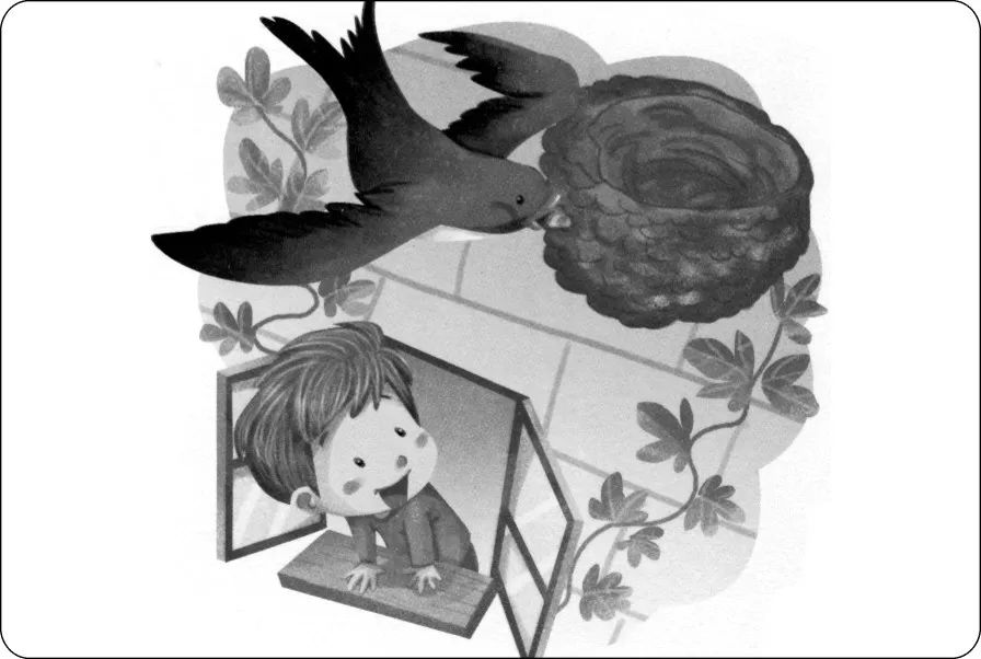 小学一二年级看图写话范文,小学一二年级看图写话范文大全