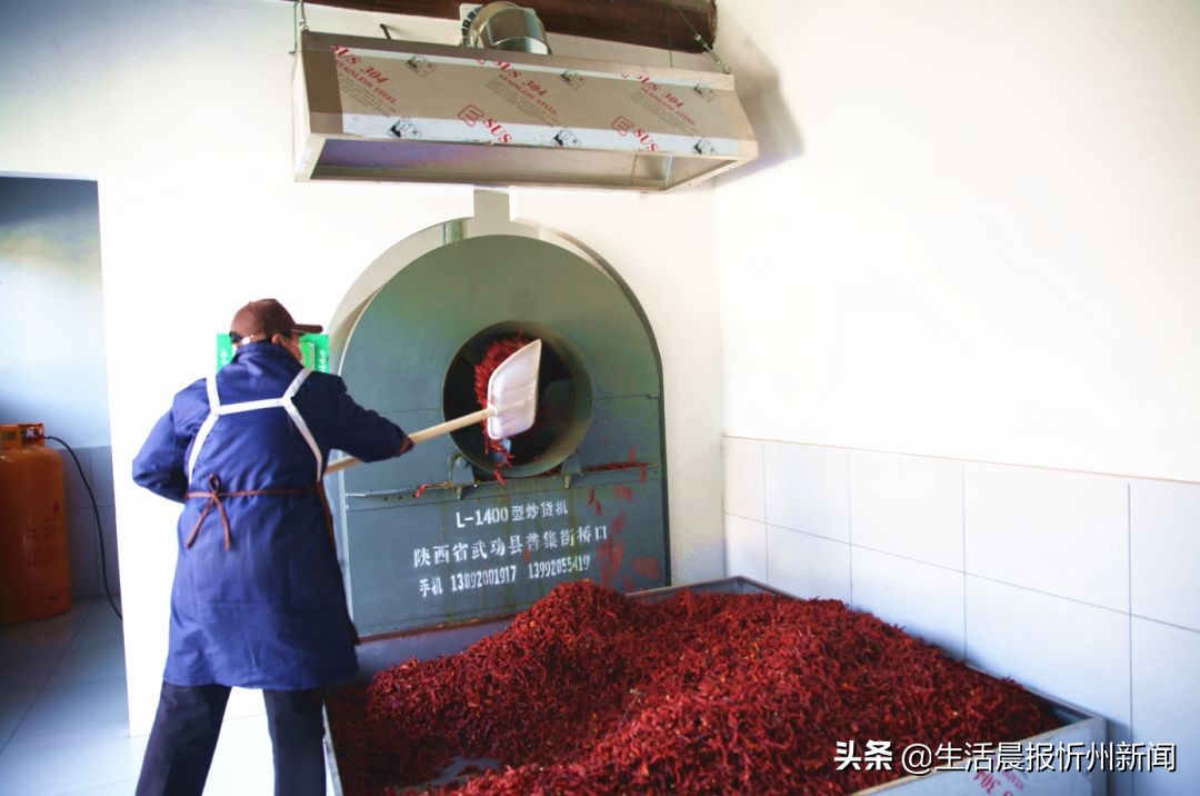 忻州古城的辣椒,忻州古城最好吃的辣椒