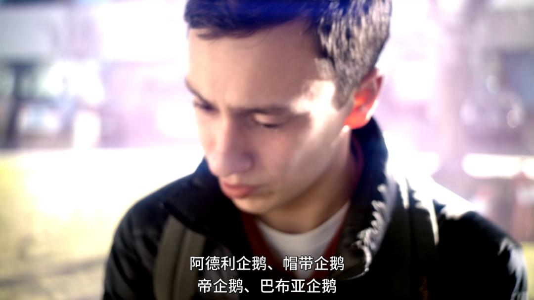 大结局后，我要狠狠安利这脱单神剧