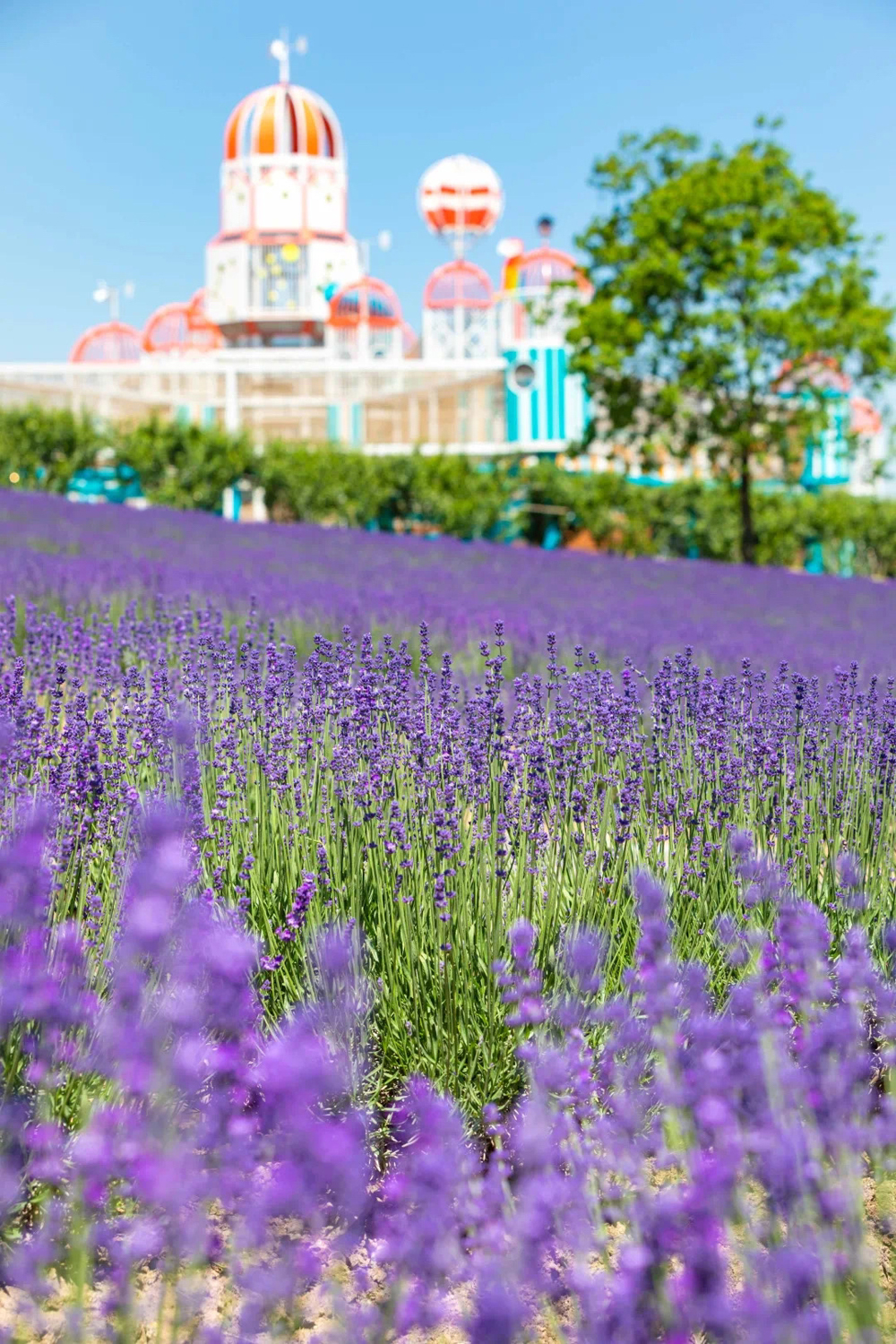 行业第一人怎么炼成,行业第一人叫什么