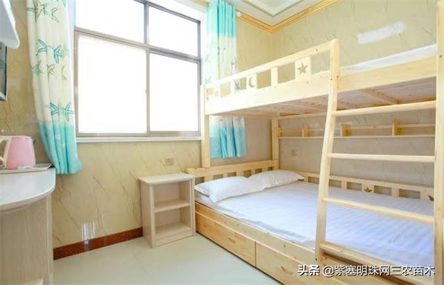 爱上一座城爱上一个人短视频,长岛大壮渔家民宿团购