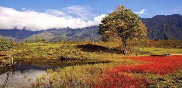 红了！黑竹沟迎颜值巅峰快去穿越五彩童话世界