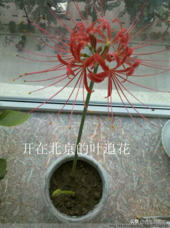 邮寄美好回忆,邮寄美好每一刻