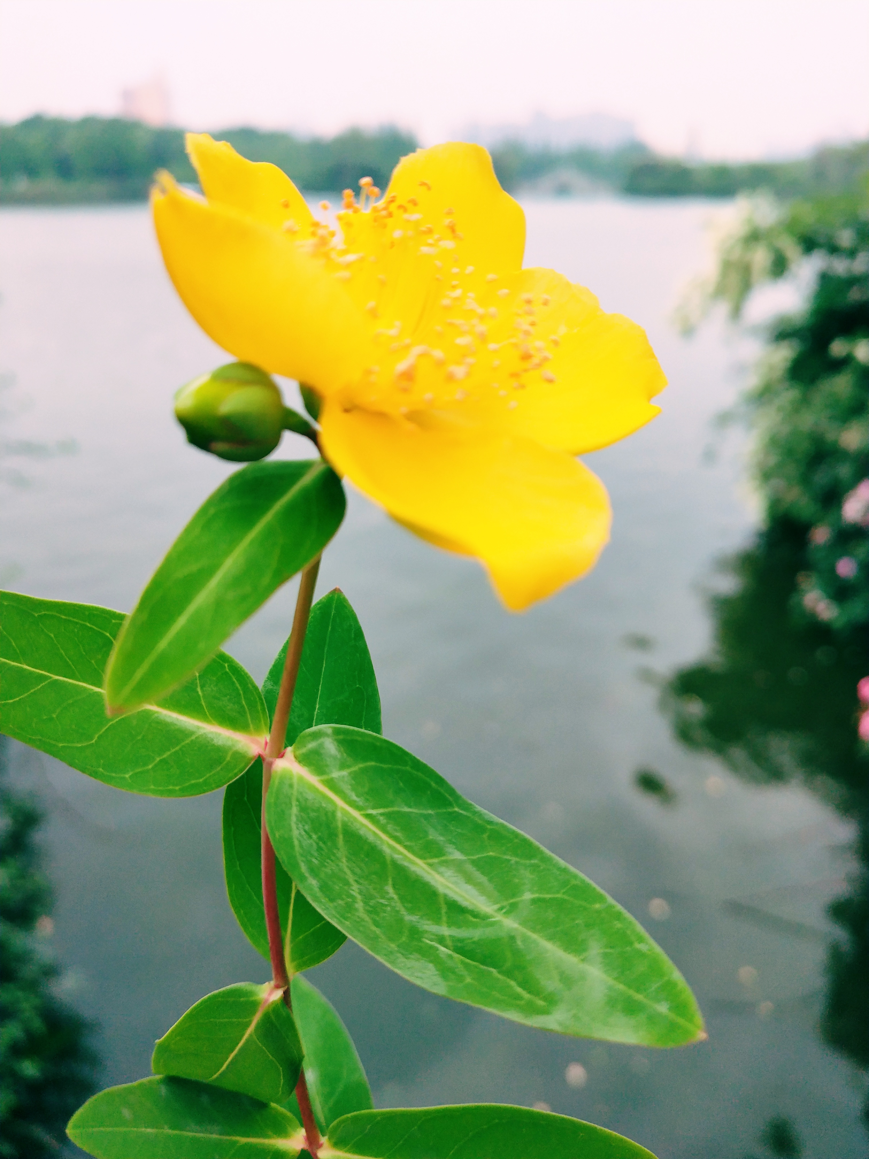那些唱错了的歌词深入人心,写不完的温柔歌词表达什么