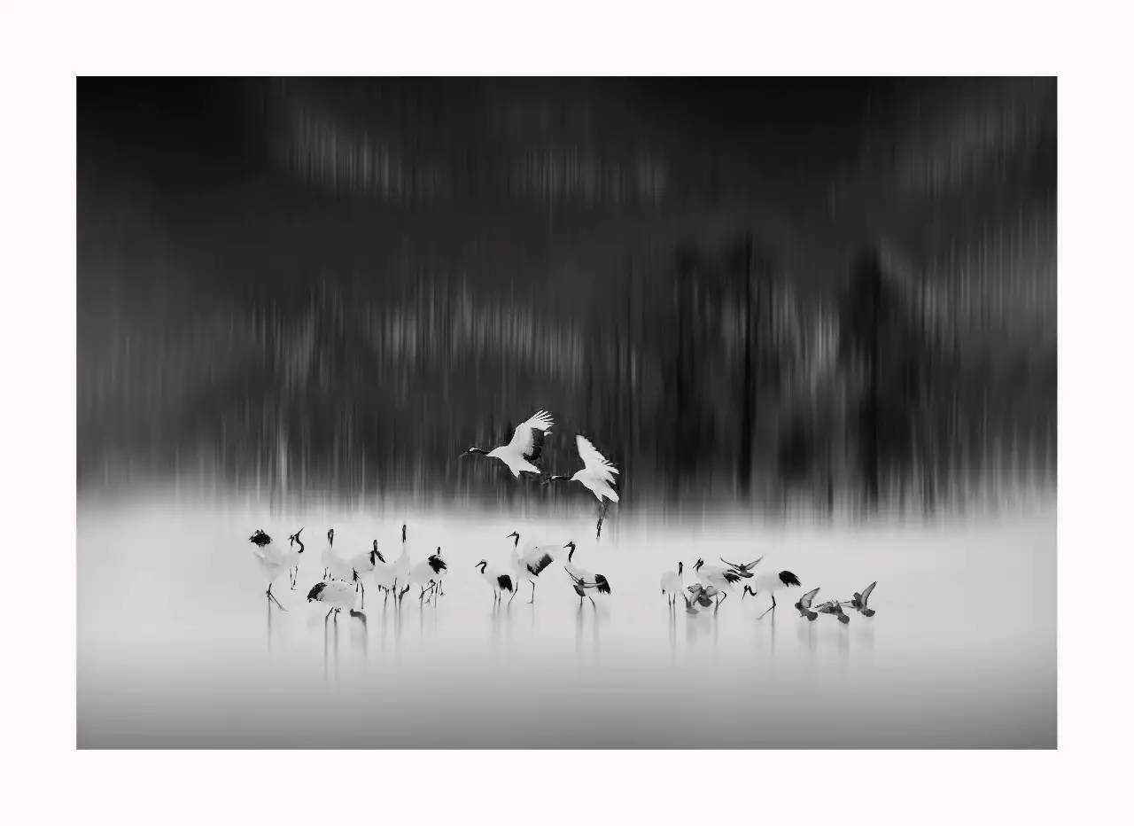 如何拍出艺术性人像摄影,如何拍出有深度的摄影作品