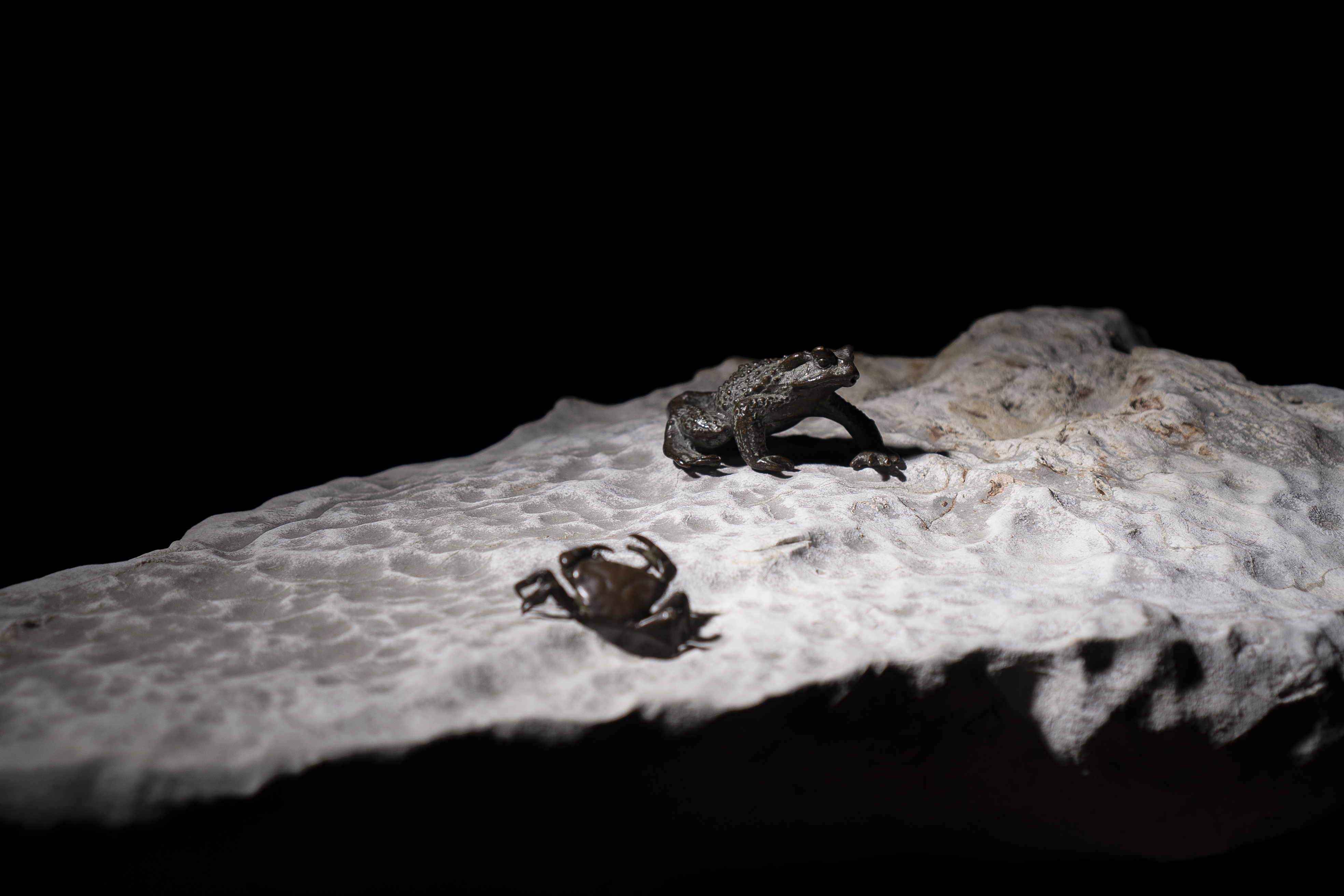 苏州园林中的石文化,苏州园林文化知识