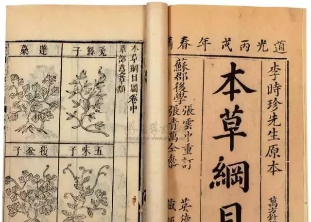 打卡茶产地｜收陈皮时节到啦！这有你想get的重点