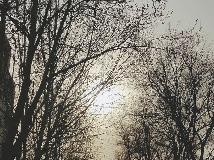 又一次“进京”，却也是走的匆忙......