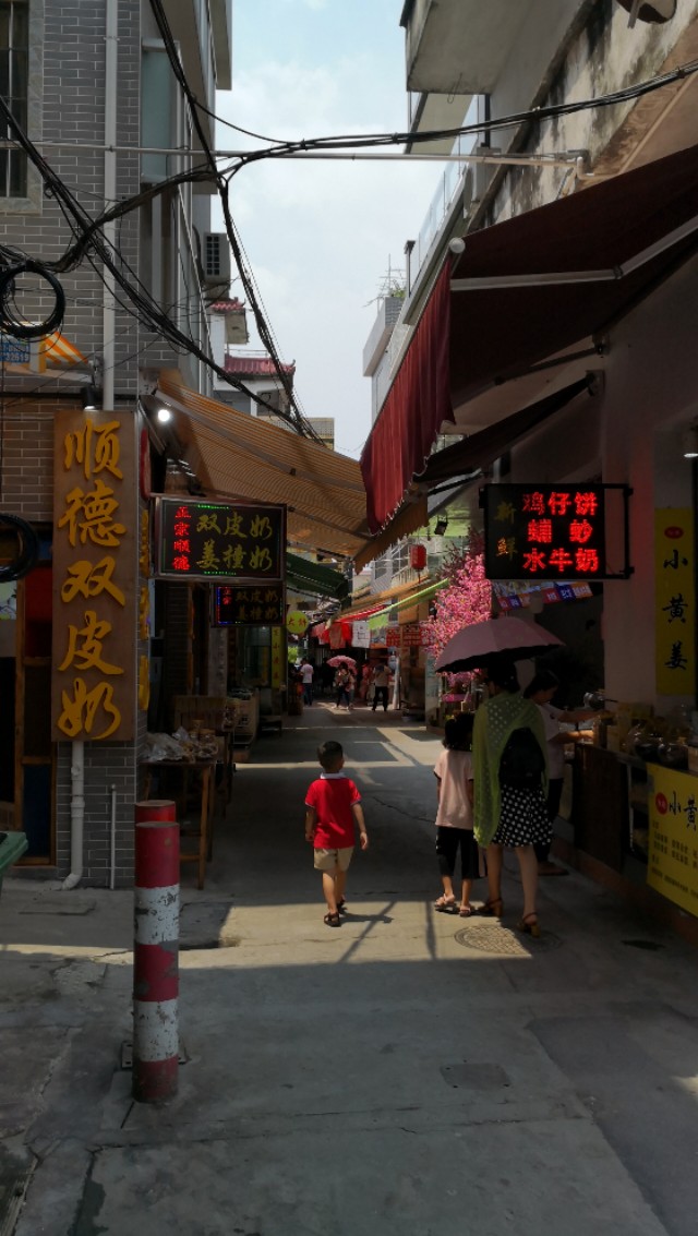 顺德逢简水乡有什么好玩的地方,顺德杏坛逢简水乡一日游攻略