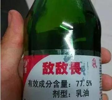 女孩头上长虱子外婆竟用敌敌畏给外孙女洗头，医生提醒来了