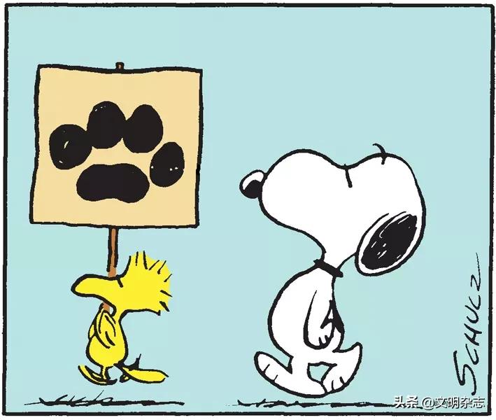 花生漫画,花生漫画讲了什么