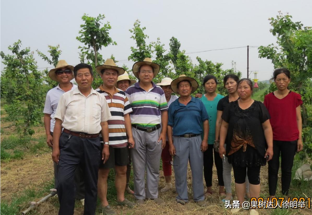 生态果园发展模式,生态果园助推乡村振兴工作