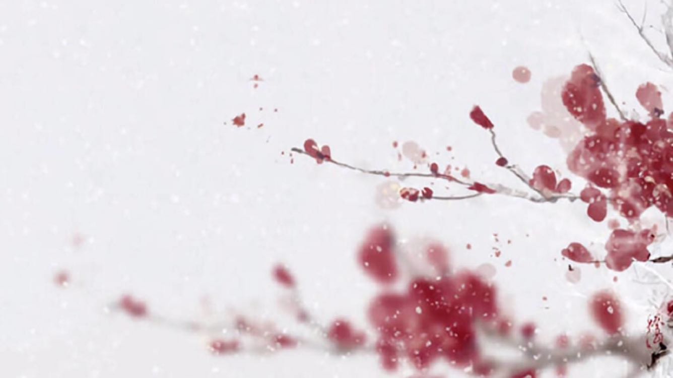 致橡树邀你合拍朗诵,致橡树并肩而行朗诵视频