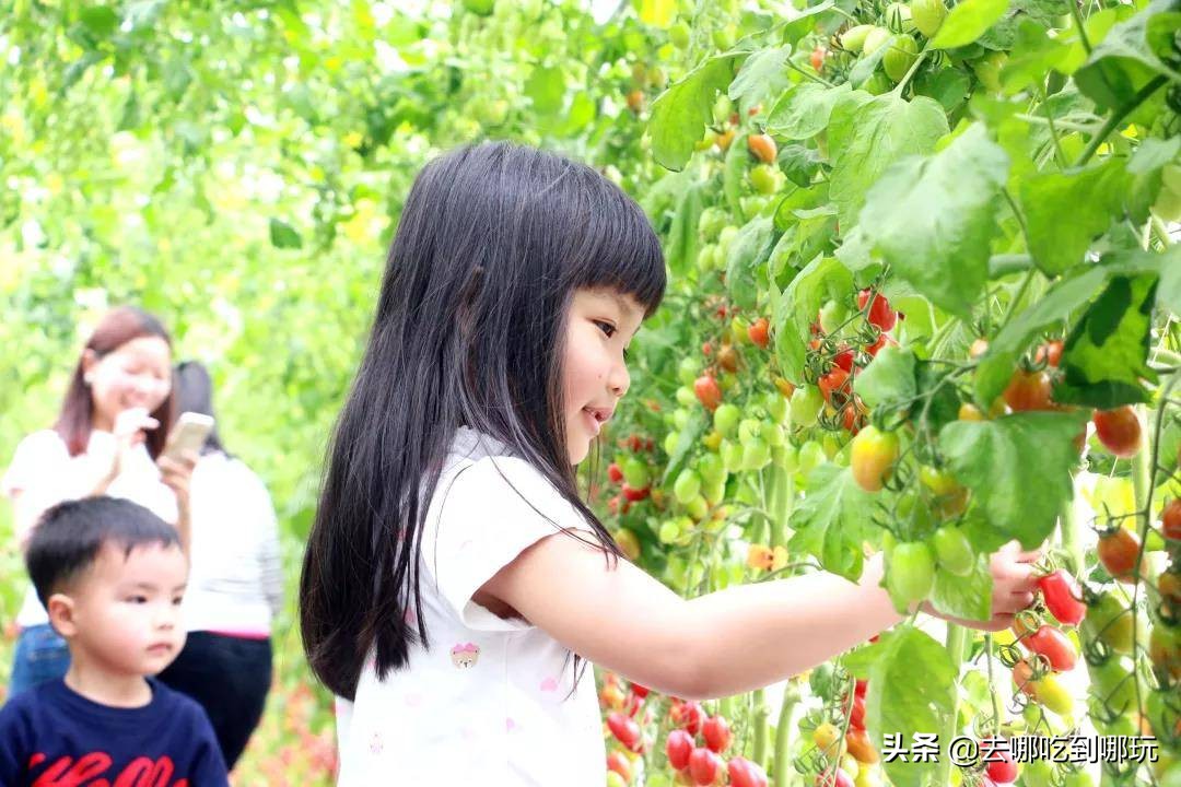 69.9抢惠州罗浮山漂流门票89元抢漂流门票+空中田园