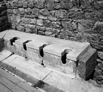 怎么治瘟疫,如何控制上厕所